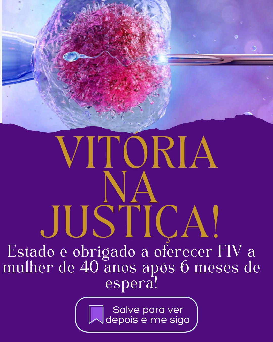 No momento, você está visualizando Justiça garante FIV a mulher de 40 anos com infertilidade tubária em SC!⁣