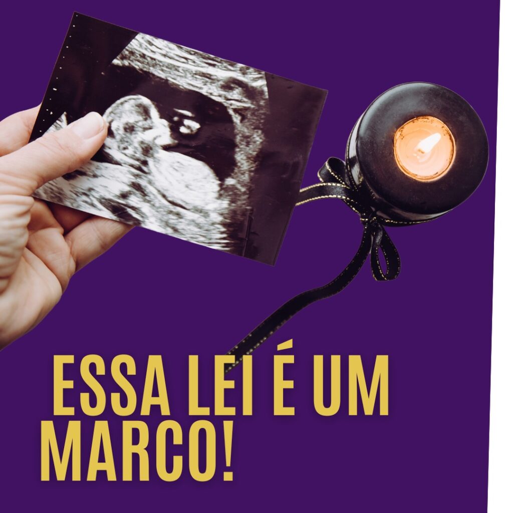 Leia mais sobre o artigo Nova Lei Parental